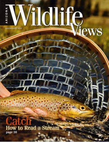 ARIZONA WILDLIFE VIEWS Magazines Subscriptions SureShot Books Publishing LLC