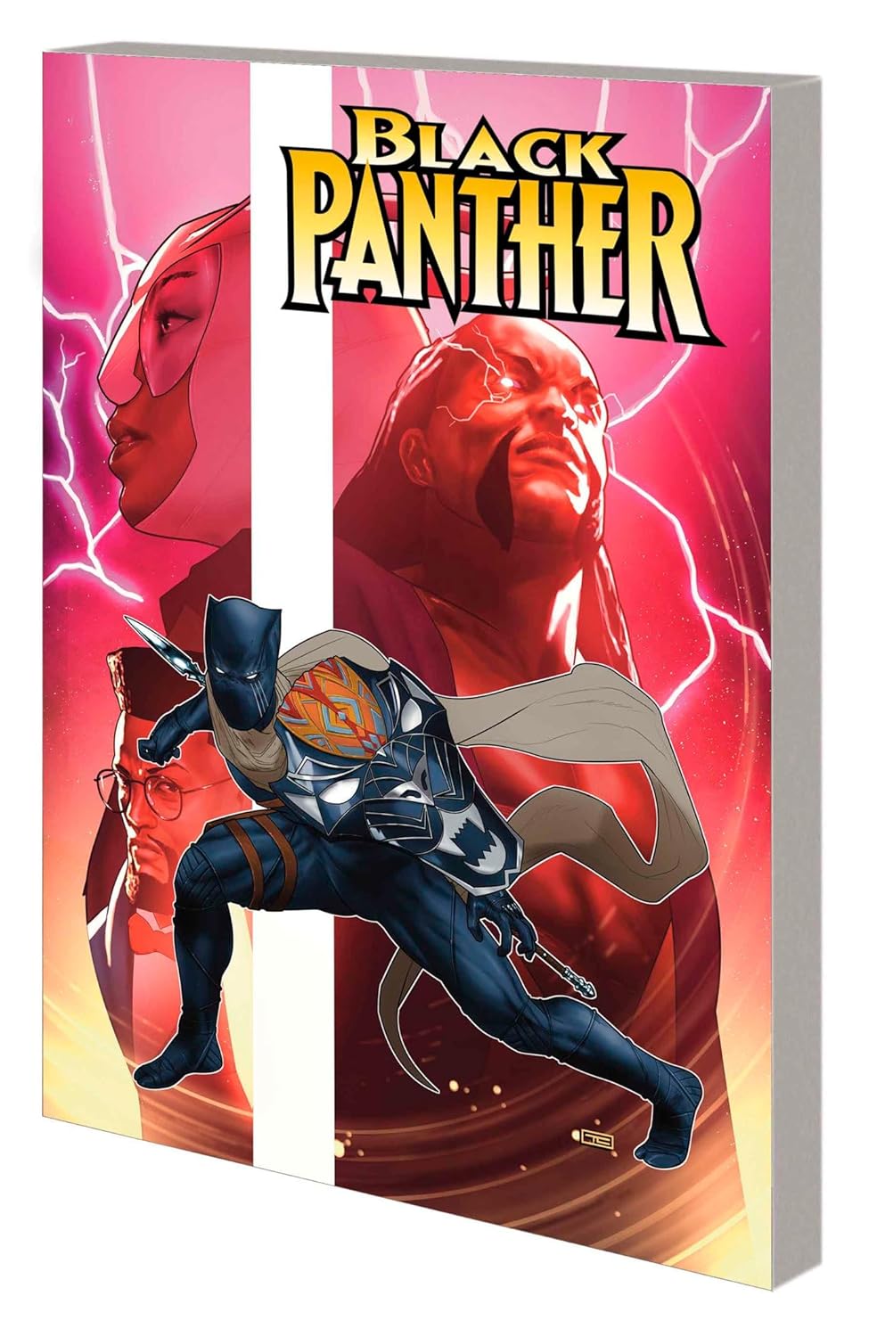 Black Panther by Eve L. Ewing - Reign at Dusk Vol. 2 - TX Corrections Bookstore