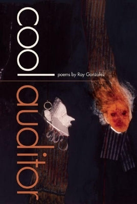 Cool Auditor by Gonzalez, Ray