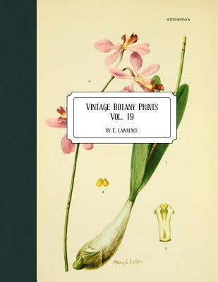 Vintage Botany Prints Vol. 19 paperback book cover with botanical illustrations and classic vintage plant artwork.