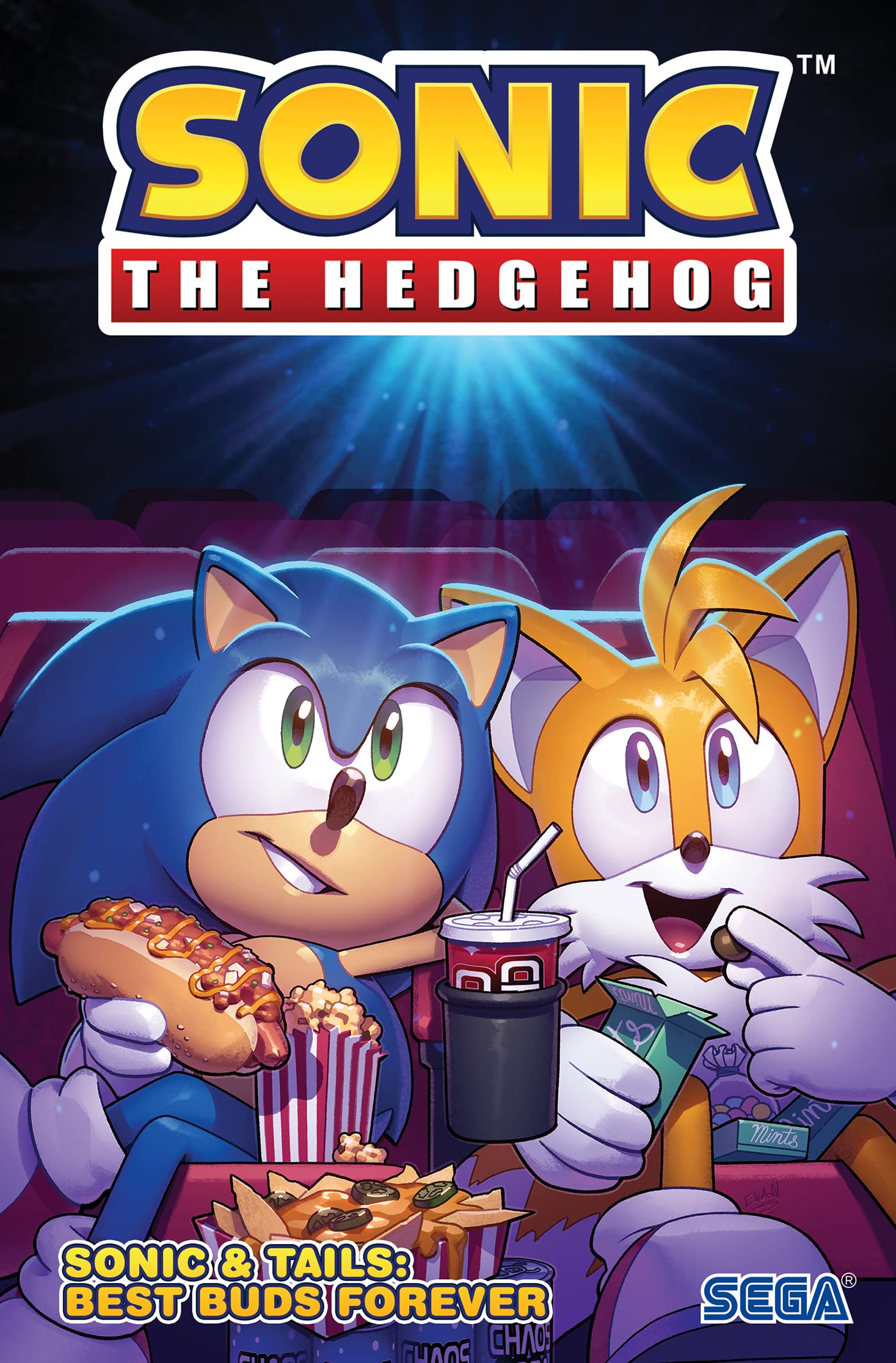 Paperback book titled Sonic & Tails: Best Buds Forever by Flynn and Stanley, featuring Sonic the Hedgehog and Tails on the cover.