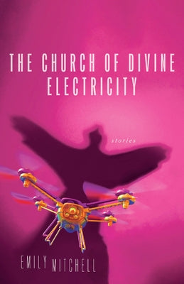 Paperback copy of "The Church of Divine Electricity" by University of Wisconsin Press, featuring a cover with religious and electrical imagery.