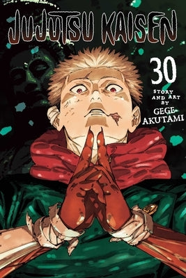 Paperback of Jujutsu Kaisen Vol. 30 by Viz Media, featuring colorful cover art with manga characters.