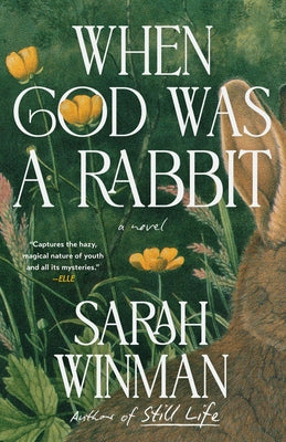 Paperback of "When God Was a Rabbit" by G.P. Putnam's Sons, featuring the book cover with artwork and title.