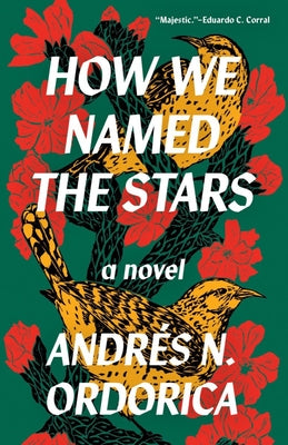 Paperback of "How We Named the Stars" by Tin House, showing the book cover with title and author details.