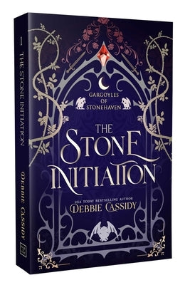 Paperback of The Stone Initiation by Page & Vine featuring a cover design with mystical stone imagery and dark, textured background.