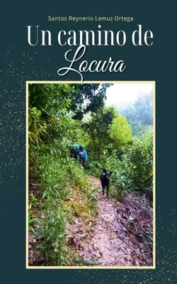 Paperback of "Un camino de Locura" by Page Publishing, showing the front cover with colorful abstract artwork.