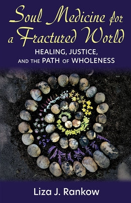 Paperback book titled "Soul Medicine for a Fractured World" by Orbis Books, featuring a cover with abstract artwork.