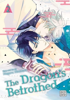 Paperback of Dragon's Betrothed, Vol. 2 by Sublime, featuring vibrant cover art with fantasy dragon and character illustration.