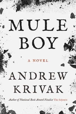 Paperback of Mule Boy by Bellevue Literary Press, featuring the book cover with title and author details visible.
