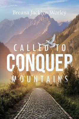 Called to Conquer Mountains paperback by Palmetto Publishing featuring a mountain landscape cover.