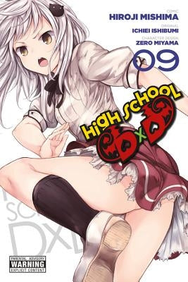 Paperback of High School DXD Vol. 9 by Yen Press, featuring the cover art with anime-style characters and vibrant colors.