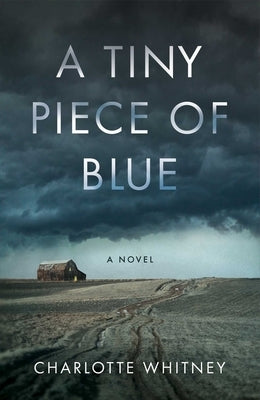 Paperback novel titled "A Tiny Piece of Blue" by She Writes Press, featuring a cover with shades of blue and white.
