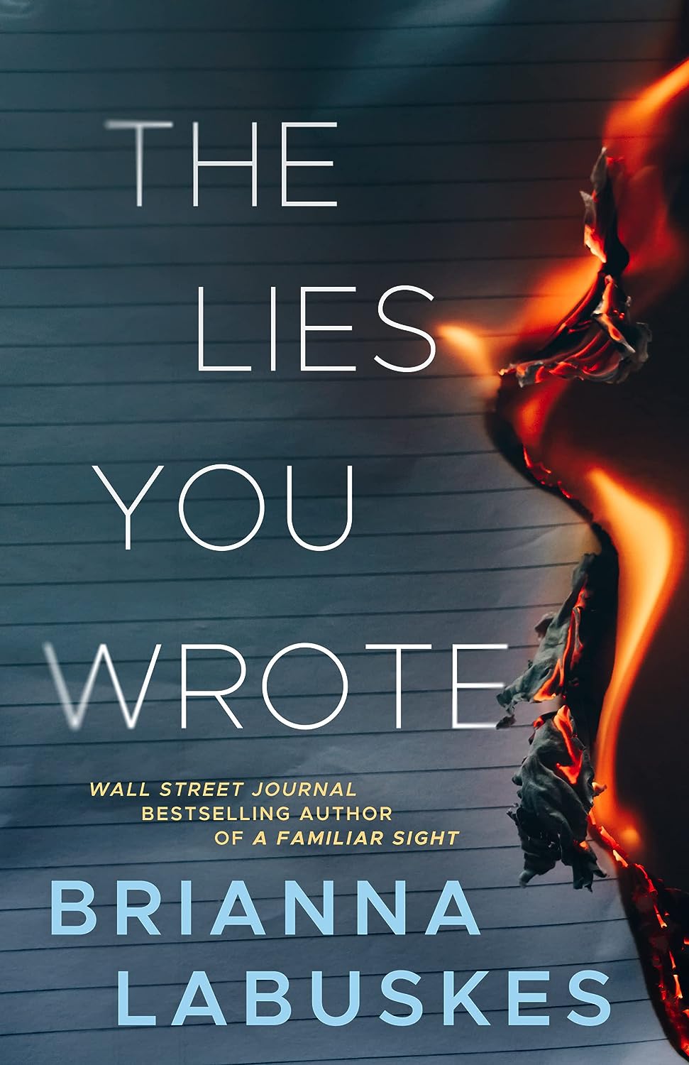 The Lies You Wrote (Raisa Susanto #1) - TX Corrections Bookstore