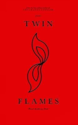 Paperback copy of Twin Flames by VAGABOND featuring a simple cover design with the title and author name.