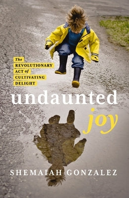 Paperback of "Undaunted Joy: The Revolutionary Act of Cultivating Delight" by Zondervan, featuring a colorful cover illustration.