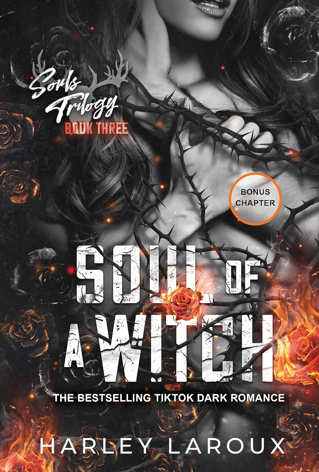 Soul of a Witch: A Spicy Dark Demon Romance (Souls Trilogy) - TX Corrections Bookstore
