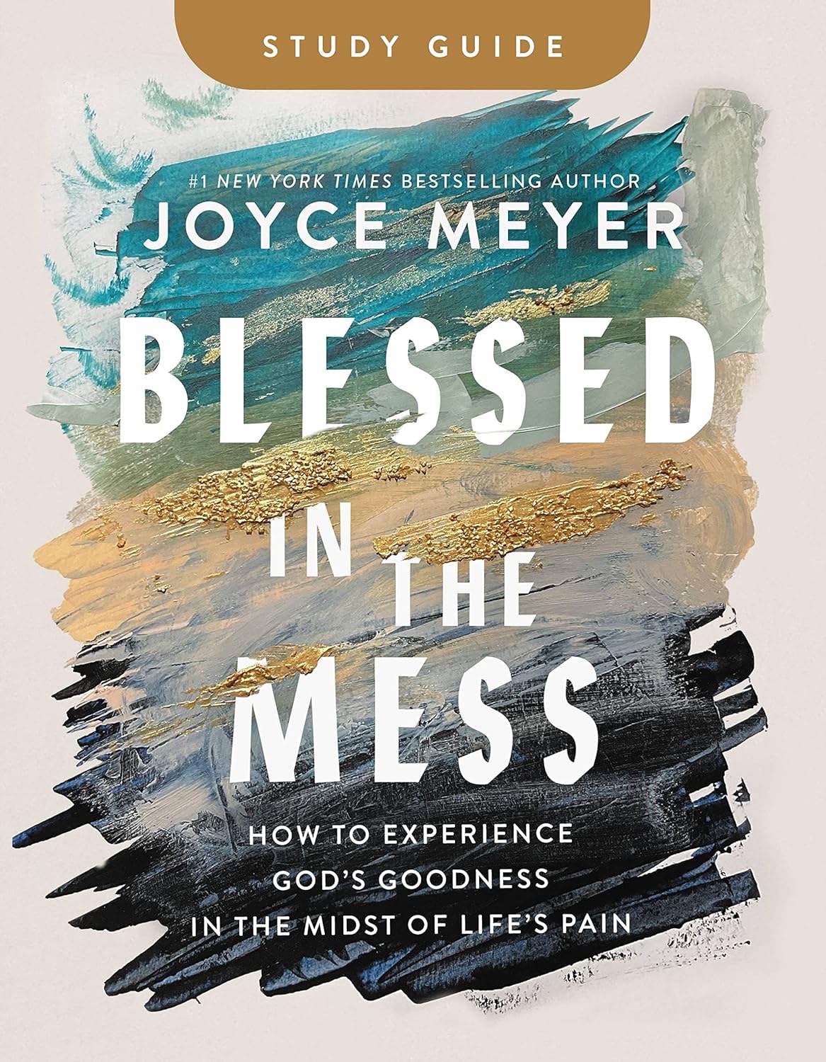 Blessed in the Mess Study Guide How to Experience God's Goodness in the Midst of Life's Pain - TX Corrections Bookstore