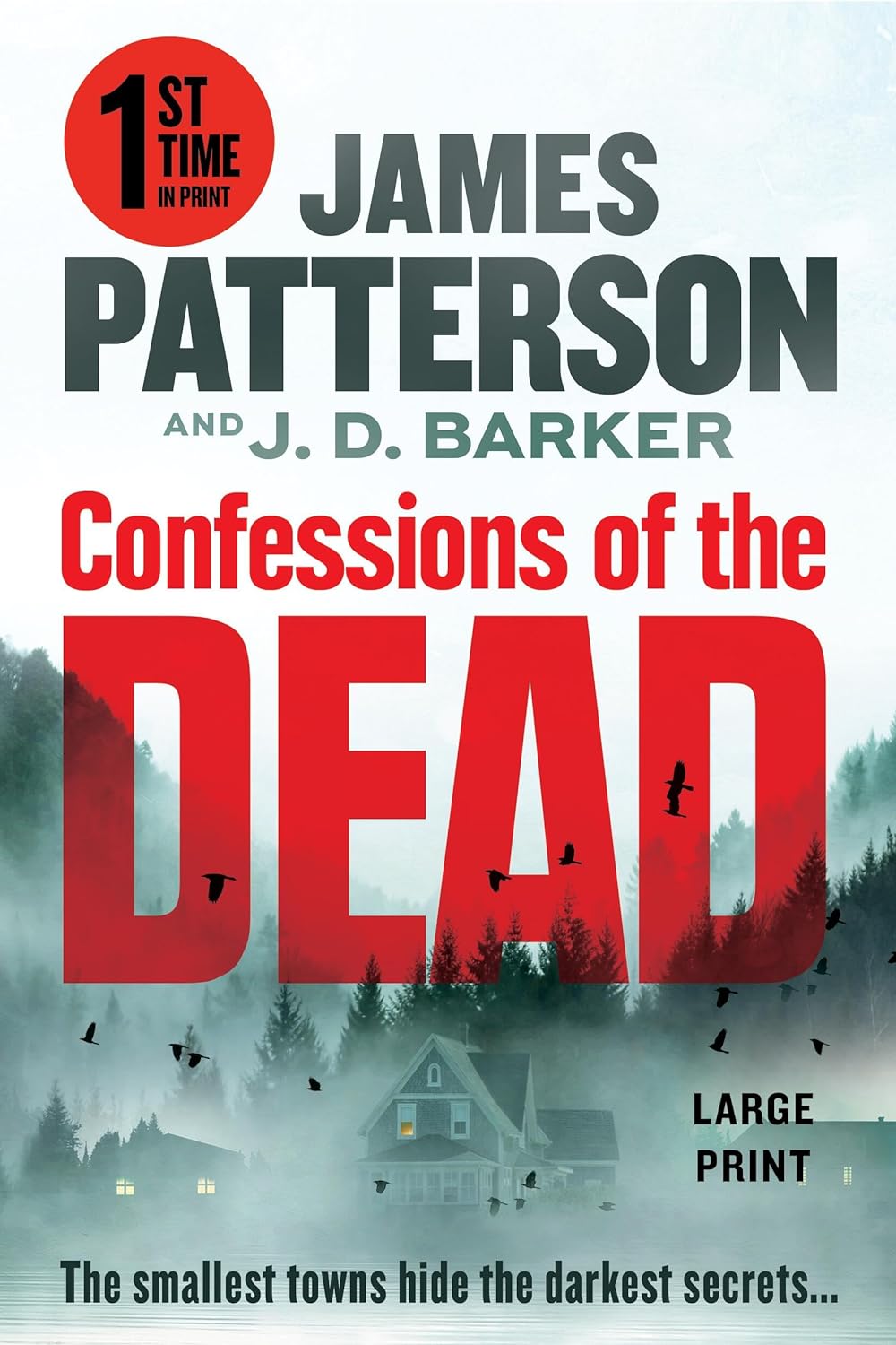 Cover image of "Confessions of the Dead" book by Grand Central Publishing, featuring dark, haunting artwork and title text.
