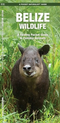 Waterford Press Belize Wildlife paperback book with colorful cover showing native animals and lush Belize scenery.