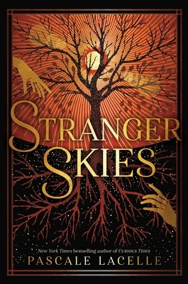 Stranger Skies paperback book by Margaret K. McElderry Books with a colorful cover featuring an illustrated sky scene.