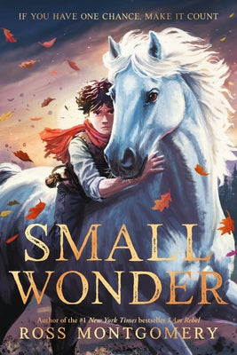 Small Wonder paperback book by Candlewick Press showing the cover with colorful illustrations