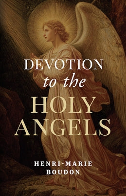 Paperback of Devotion to the Holy Angels by Sophia Institute Press, showing the book cover with angel illustrations.