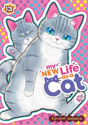 Paperback of My New Life as a Cat Vol. 13 by Seven Seas, featuring colorful manga cover art with a cat character.