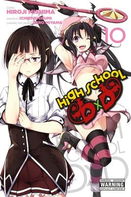 Paperback of High School DXD, Vol. 10 by Yen Press featuring the cover art with characters from the series.