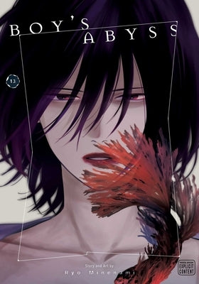 Boy's Abyss Vol. 13 paperback manga by Viz Media, front cover featuring dark artwork and graphic design elements.