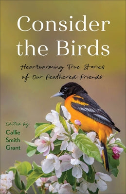 Paperback of "Consider the Birds" by Fleming H. Revell Company, featuring a cover with images of various birds.