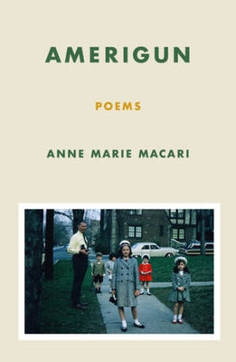 Paperback of Amerigun: Poems by Persea Books, featuring cover art and design related to the poetry collection.