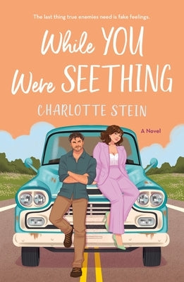 Paperback of "While You Were Seething" by St. Martin's Griffin featuring a colorful cover with abstract artwork.
