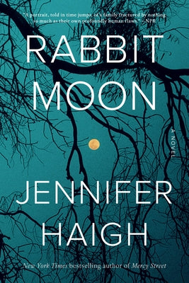 Paperback of Rabbit Moon by Back Bay Books featuring a minimalist cover design with celestial moon imagery.