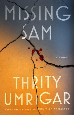 Missing Sam paperback book by Algonquin Books with a cover featuring a dark, moody scene and the title prominently displayed.
