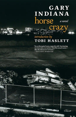 Paperback of Horse Crazy by Seven Stories Press featuring a colorful cover with a girl and horses in a lively outdoor scene.