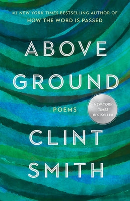 Above ground paperback book by Back Bay Books, showing the cover with title and author on a plain background.