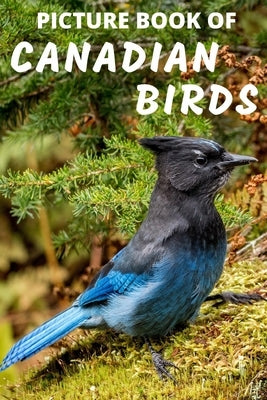 Colorful paperback book featuring large print images of Canadian birds with names, designed for seniors and Alzheimer’s patients.