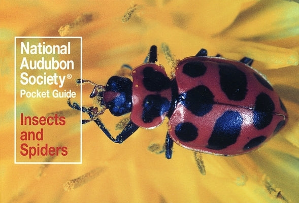 Paperback pocket guide by Knopf Publishing Group featuring insects and spiders from the National Audubon Society, showing colorful illustrations.