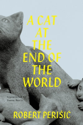 Paperback of "A Cat at the End of the World" by Sandorf Passage, featuring a book cover with a cat and a landscape scene.