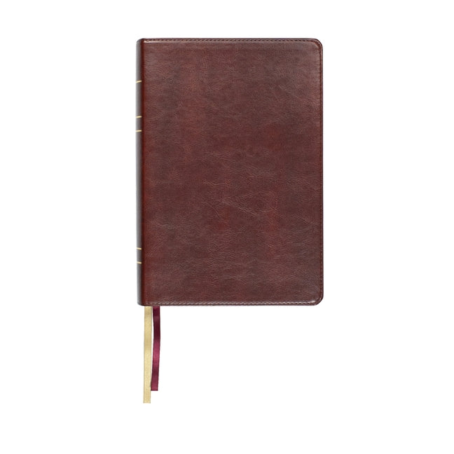Large print Steadfast Bibles Bible with wide margins in reddish-brown faux leather, featuring a paste-down cover and classic design.