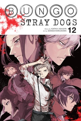 Paperback of Bungo Stray Dogs Vol. 12 by Yen Press featuring anime-style cover art and character illustrations.