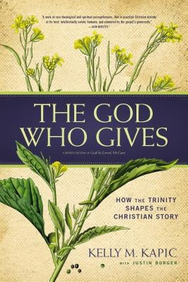 Paperback of "The God Who Gives" by Zondervan Academic, showing the book cover with title and author details.